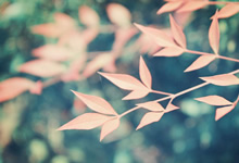 河南濮阳保持冷静应对，全力防守保住领先优势