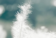 雄鹿过关篮网，字母哥恣意尽显风采