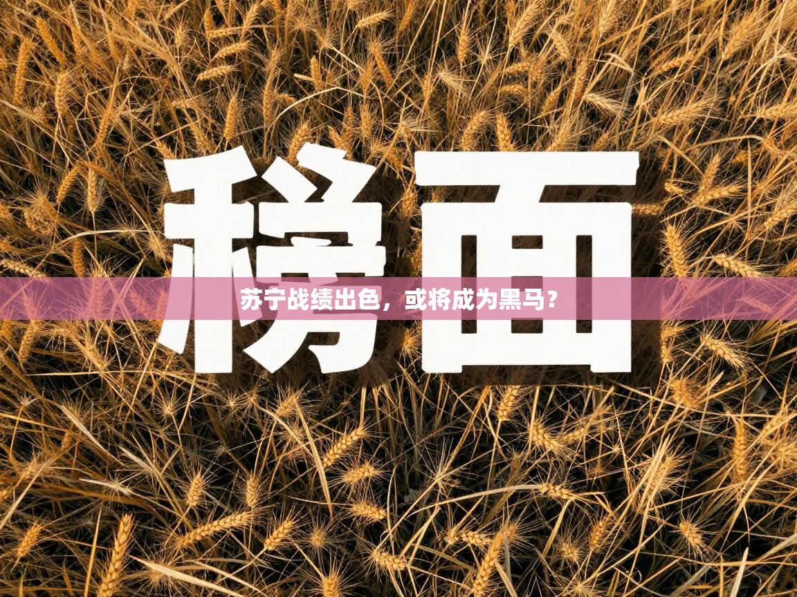 苏宁战绩出色，或将成为黑马？  第2张